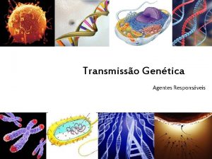 Transmisso Gentica Agentes Responsveis ndice Introduo Psicologia Hereditariedade