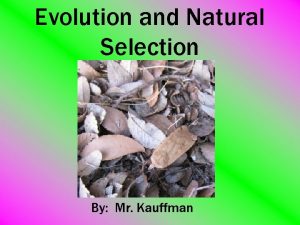 Evolution and Natural Selection By Mr Kauffman Outline