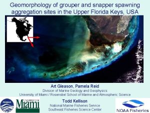 Geomorphology of grouper and snapper spawning aggregation sites