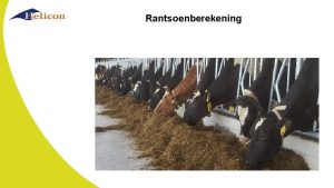 Rantsoenberekening Rantsoenberekening Voeding op melkveehouderij is een belangrijk
