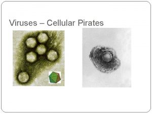 Viruses Cellular Pirates Characteristics of Viruses Obligate Intercellular