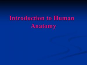 Introduction to Human Anatomy The human anatomy is