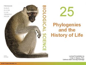 25 Phylogenies and the History of Life Lecture