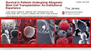 Survival in Patients Undergoing Allogeneic Stem Cell Transplantation