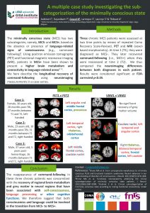 A multiple case study investigating the subcategorization of