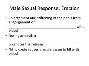 Male Sexual Response Erection Enlargement and stiffening of