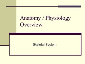 Anatomy Physiology Overview Skeletal System Skeletal System n