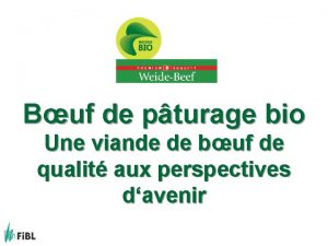 Buf de pturage bio Une viande de buf