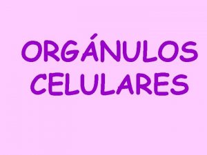 ORGNULOS CELULARES La clula Todas ellas tienen membrana