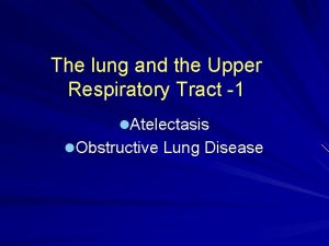 The lung and the Upper Respiratory Tract 1