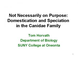 Not Necessarily on Purpose Domestication and Speciation in