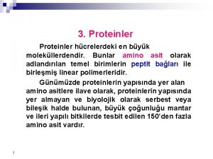 3 Proteinler hcrelerdeki en byk molekllerdendir Bunlar amino