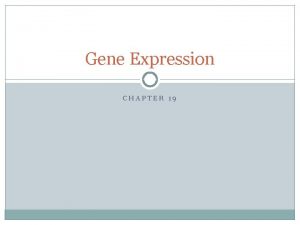 Gene Expression CHAPTER 19 Gene expression Gene regulation
