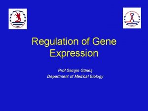 Regulation of Gene Expression Prof Sezgin Gne Department