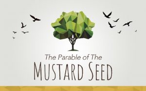 The Mustard Seed 1 To Teach About The