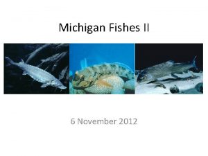 Michigan Fishes II 6 November 2012 Nonnative species