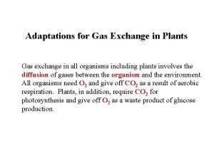 Adaptations for Gas Exchange in Plants Gas exchange