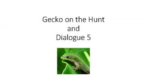 Gecko on the Hunt and Dialogue 5 Gecko