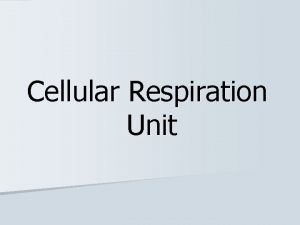 Cellular Respiration Unit Overview of Respiration aerobic requires