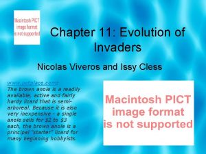 Chapter 11 Evolution of Invaders Nicolas Viveros and