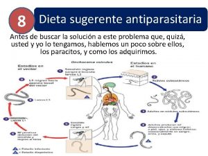 8 Dieta sugerente antiparasitaria Antes de buscar la