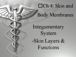 Ch 4 Skin and Body Membranes Integumentary System