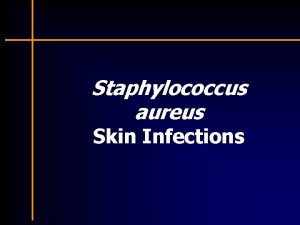 Staphylococcus aureus Skin Infections Typical Staph Skin Infections