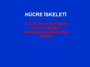 HCRE SKELET Prof Dr Davut ALPTEKN Tp Fakltesi