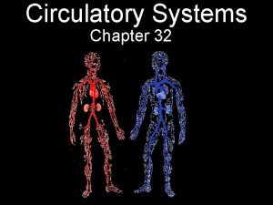 Circulatory Systems Chapter 32 Circulatory Systems Internal Transport