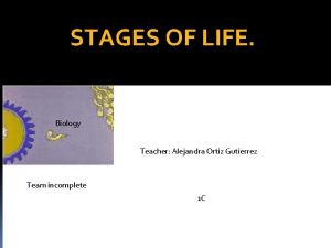 STAGES OF LIFE Biology Teacher Alejandra Ortiz Gutierrez