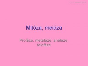 VY32INOVACE04 10 Mitza meiza Profze metafze anafze telofze