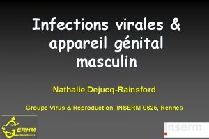 Infections virales appareil gnital masculin Nathalie DejucqRainsford Groupe