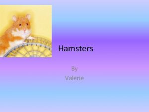 Hamsters By Valerie Table of Contents Hamster senses