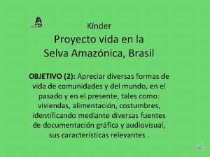 Knder Proyecto vida en la Selva Amaznica Brasil