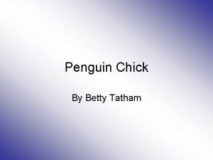 Penguin chick by betty tatham