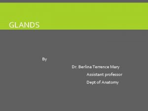 GLANDS By Dr Berlina Terrence Mary Assistant professor