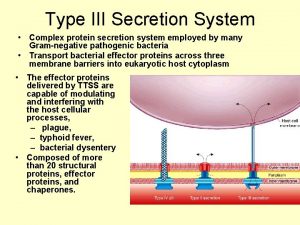 Type III Secretion System Complex protein secretion system