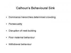 Calhouns Behavioural Sink Dominance hierarchies determined crowding Pansexuality