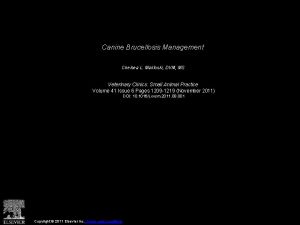 Canine Brucellosis Management Chelsea L Makloski DVM MS