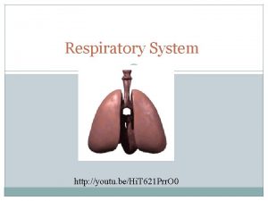 Respiratory System http youtu beHi T 621 Prr