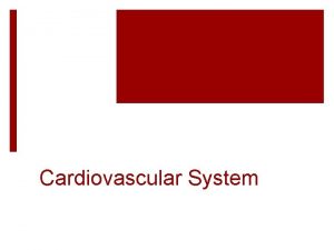 Cardiovascular The Cardiovascular System The Heart Part A