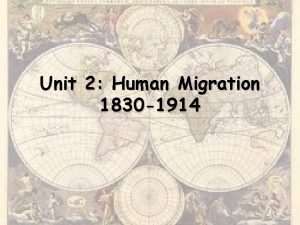 Unit 2 Human Migration 1830 1914 Homo erectus