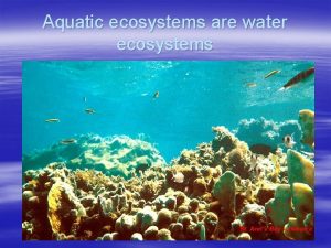 Aquatic ecosystems are water ecosystems Cell Theory All