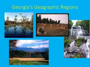 Georgias Geographic Regions What makes a region A