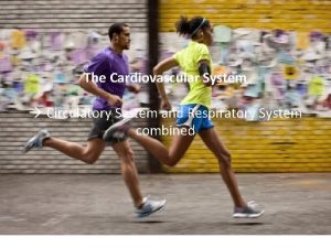 The Cardiovascular System Circulatory System and Respiratory System