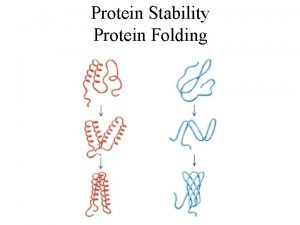 Protein Stability Protein Folding Protein Stability Protein stability