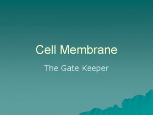 Cell Membrane The Gate Keeper Selectively Permeable u