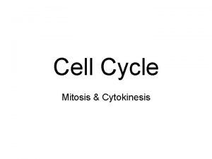 Cell Cycle Mitosis Cytokinesis Cell Cycle The regular
