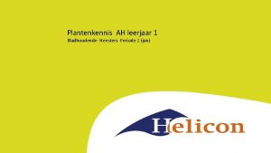 Plantenkennis AH leerjaar 1 Bladhoudende Heesters Periode 2