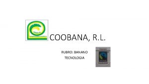 COOBANA R L RUBRO BANANO TECNOLOGIA RESEAS COOPERATIVA